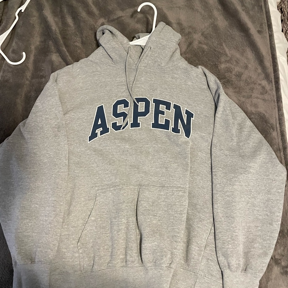 Brandy Melville Aspen Hoodie